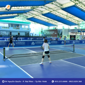 Hướng dẫn thi công sân pickleball trong nhà