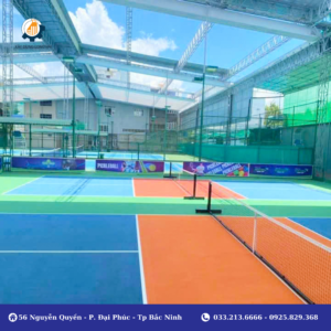 Kích thước sân pickleball tiêu chuẩn là bao nhiêu ?